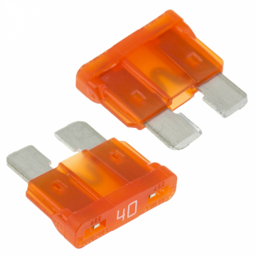 Fuse for BD250 (2) in der Gruppe Hersteller / S / SkyRC / Accessories bei Minicars Hobby Distribution AB (SK600133-02)