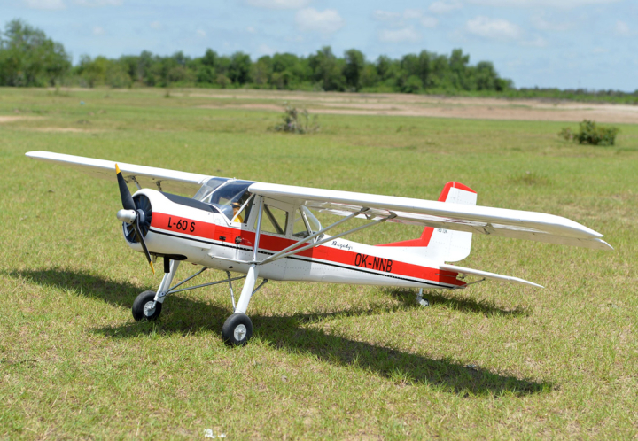 L-60 Brigadyr 30-35cc Gas 2668mm ARF