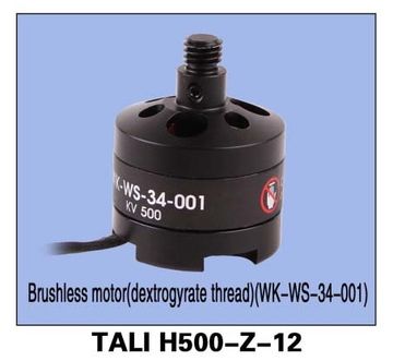 Brushless Motor WS-34-001 Black TALI H500-Z-12 CW