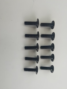 Phillips Screw M3x10mm (10)