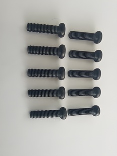 Phillips Screw M3x16mm (10)