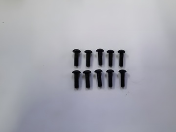 Hex Screw M3x10mm (10)