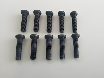 Phillips Screw M2x12mm (10)