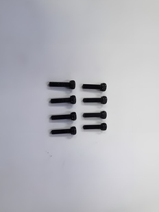 Hex Screw M2.5x10mm (8)