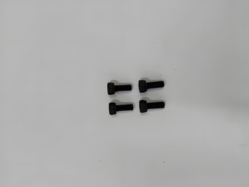 Hex Screw M4x10mm (4)