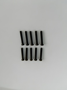 Phillips Screw M2.5x16mm (10)