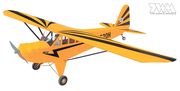 Clipped Wing Cub 1/5 60