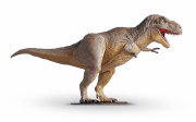Tyrannosaurus Rex
