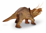 Triceratops*