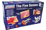 Five senses Assortement