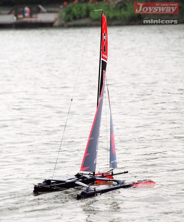 force 2 60 rc catamaran