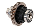 Differential Mitten Pro-Built  UDR