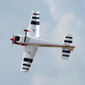 Extra 300 226cm 76cc Gas ARF