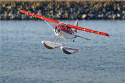 Beaver V2 2000mm Reflex V2-Gyro PNP*