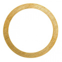 Shims (0.2) (2) 28XZ, 30VG(P)