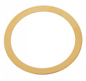 Shims (0.2) GGT10