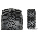 Interco TSL SX 1.9