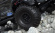 Denali 1.9 8 spoke wheel for crawlers (2)*
