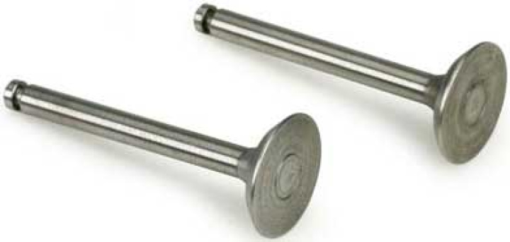 Ventil In/Ut (2) FA-325R5D i gruppen Katalog / Fabrikat / S / Saito / Reservdelar hos Minicars Hobby Distribution AB (SA325R546)