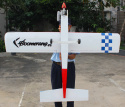 Boomerang V3 Trainer 155cm 46-61 ARF