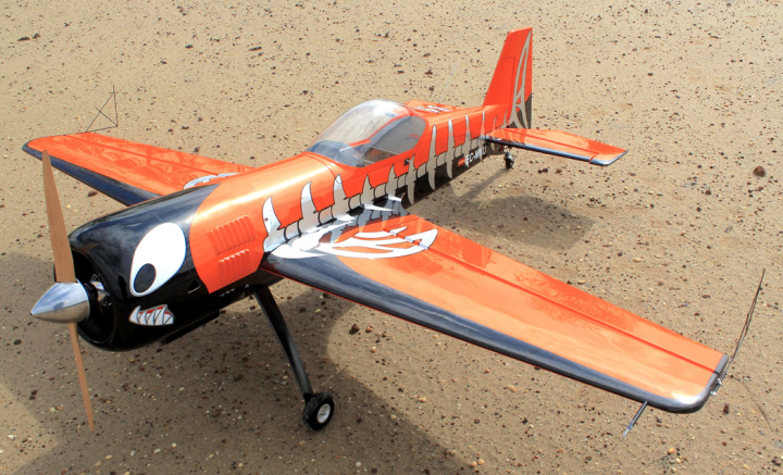 Sukhoi SU-31 Giant 30% 