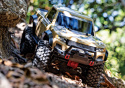 TRX-4 Sport Scale Crawler Truck 1/10 RTR Tan*