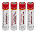 Plus Alkaline Batteries AAA (4)