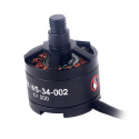 Motor WS-34-002 Black TALIH500-Z-11 CCW