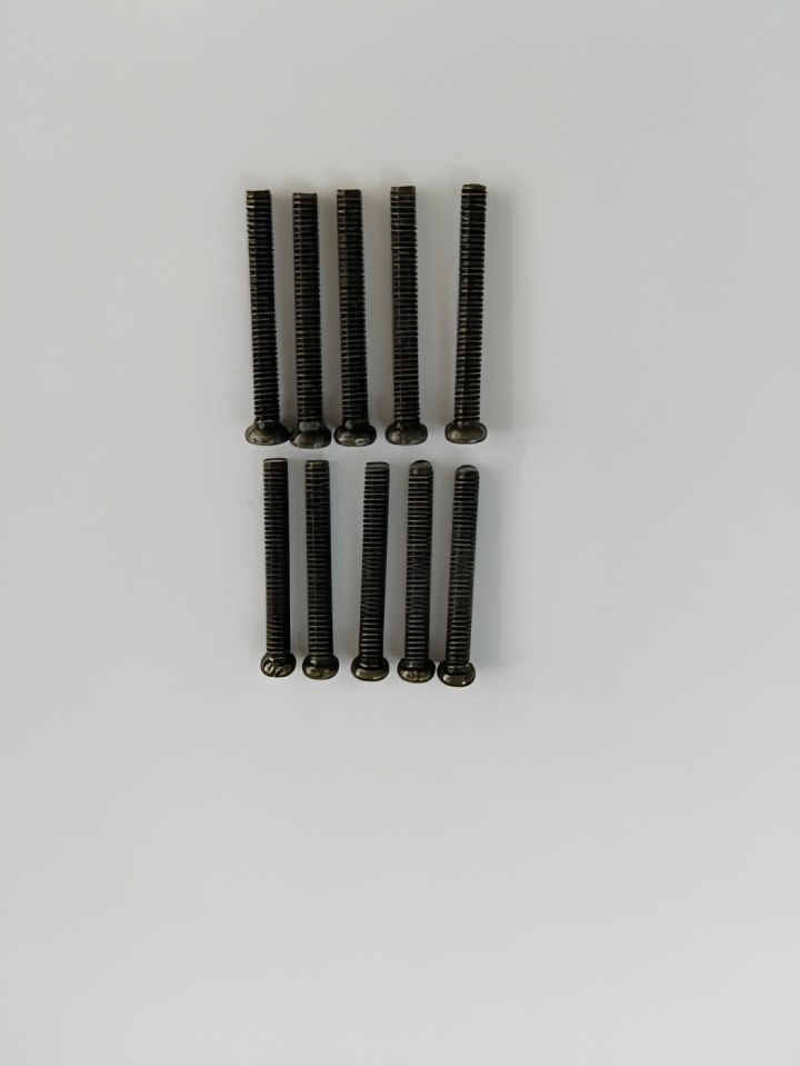 Phillips Skruv M2.5x20mm (8) i gruppen Katalog / Tillbehör & Delar / Skruvar & Muttrar / Skruvar hos Minicars Hobby Distribution AB (WL0106)