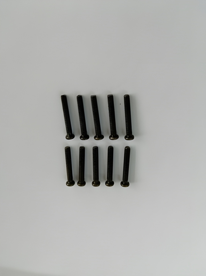 Phillips Skruv M2.5x16mm (10) i gruppen Katalog / Tillbehör & Delar / Skruvar & Muttrar / Skruvar hos Minicars Hobby Distribution AB (WL2902)