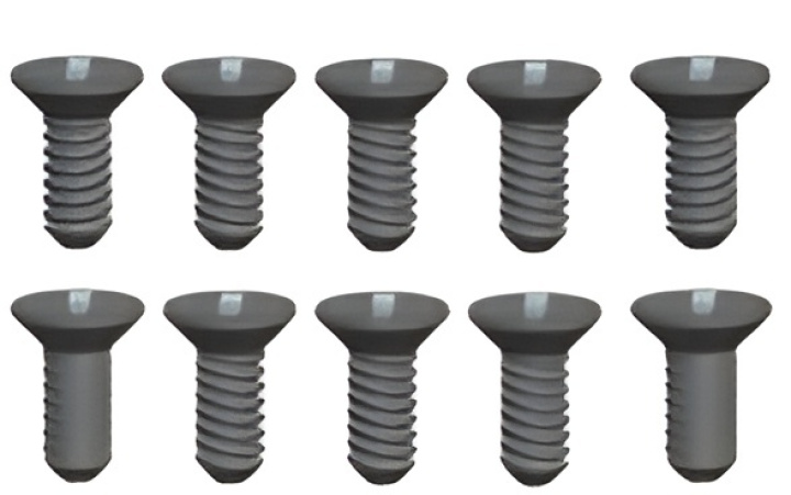 Phillips Skruv 2.6x8mm (10) i gruppen Katalog / Tillbehör & Delar / Skruvar & Muttrar / Skruvar hos Minicars Hobby Distribution AB (WLL959-54)